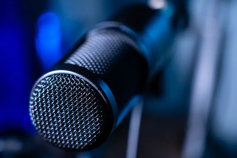 When the Voice Doesn't Fit: Animation's Quiet Identity Crisis
